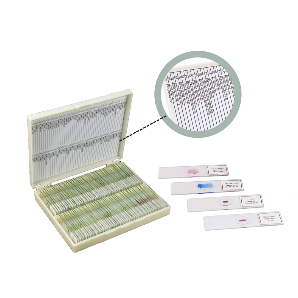 Instrumentação de Laboratório  - Medical Lab Iso avaliação e preço